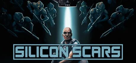 Silicon Scars