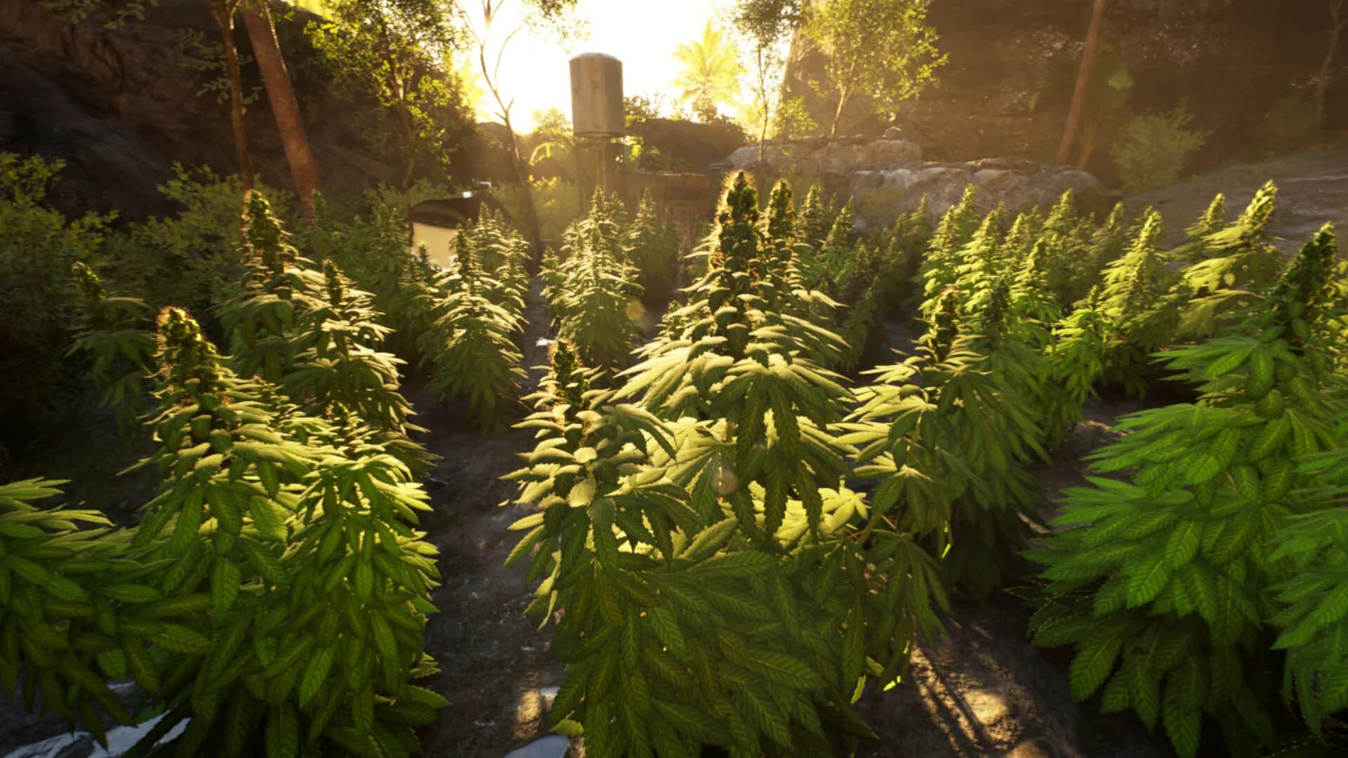 Weed Shop 4: Highland görsel 5