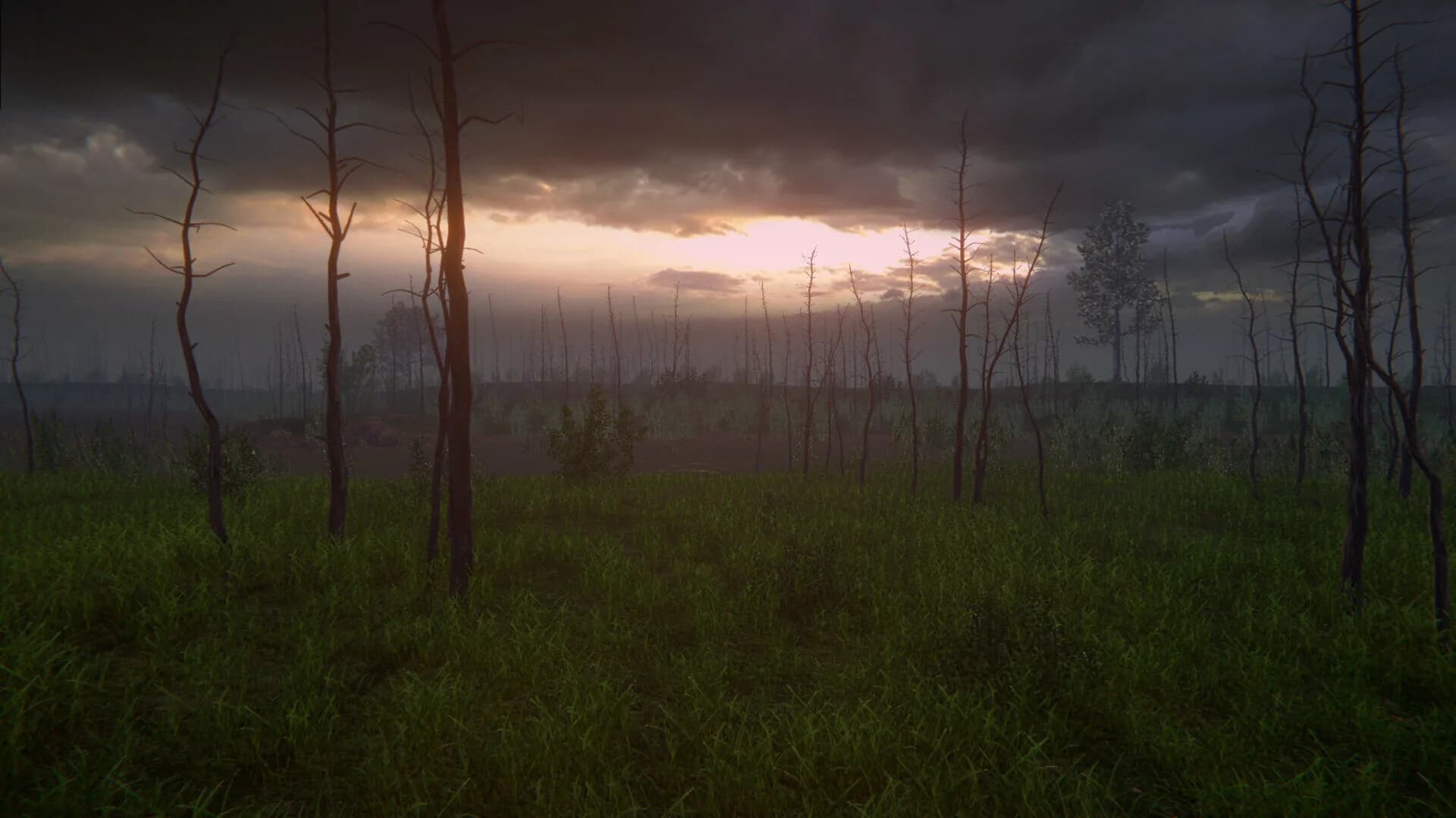Birch Simulator görsel 12