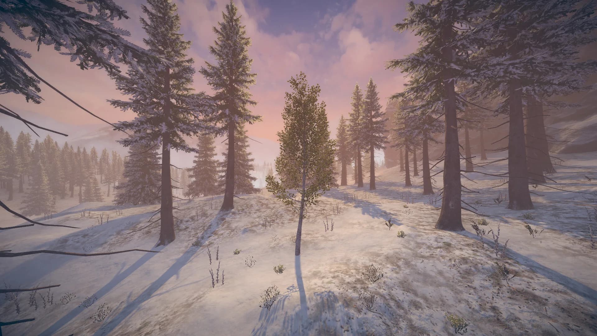 Birch Simulator görsel 13