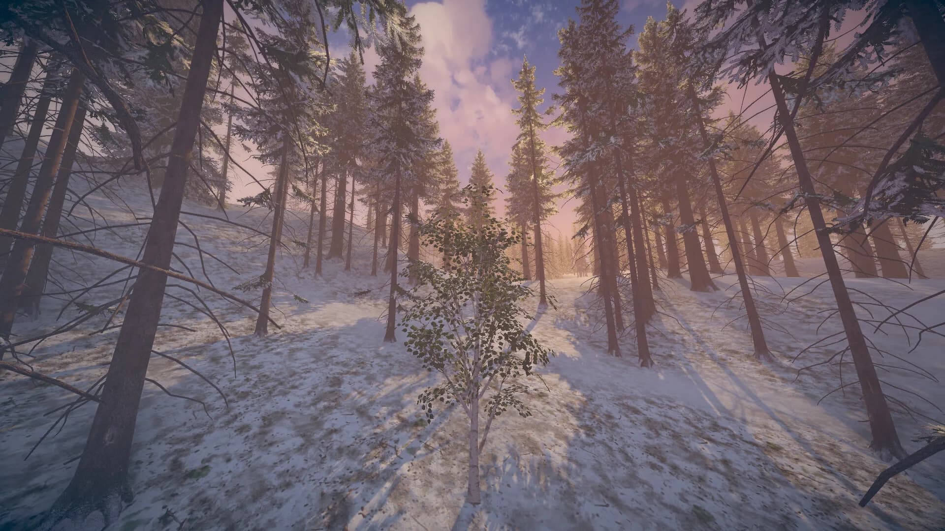 Birch Simulator görsel 14