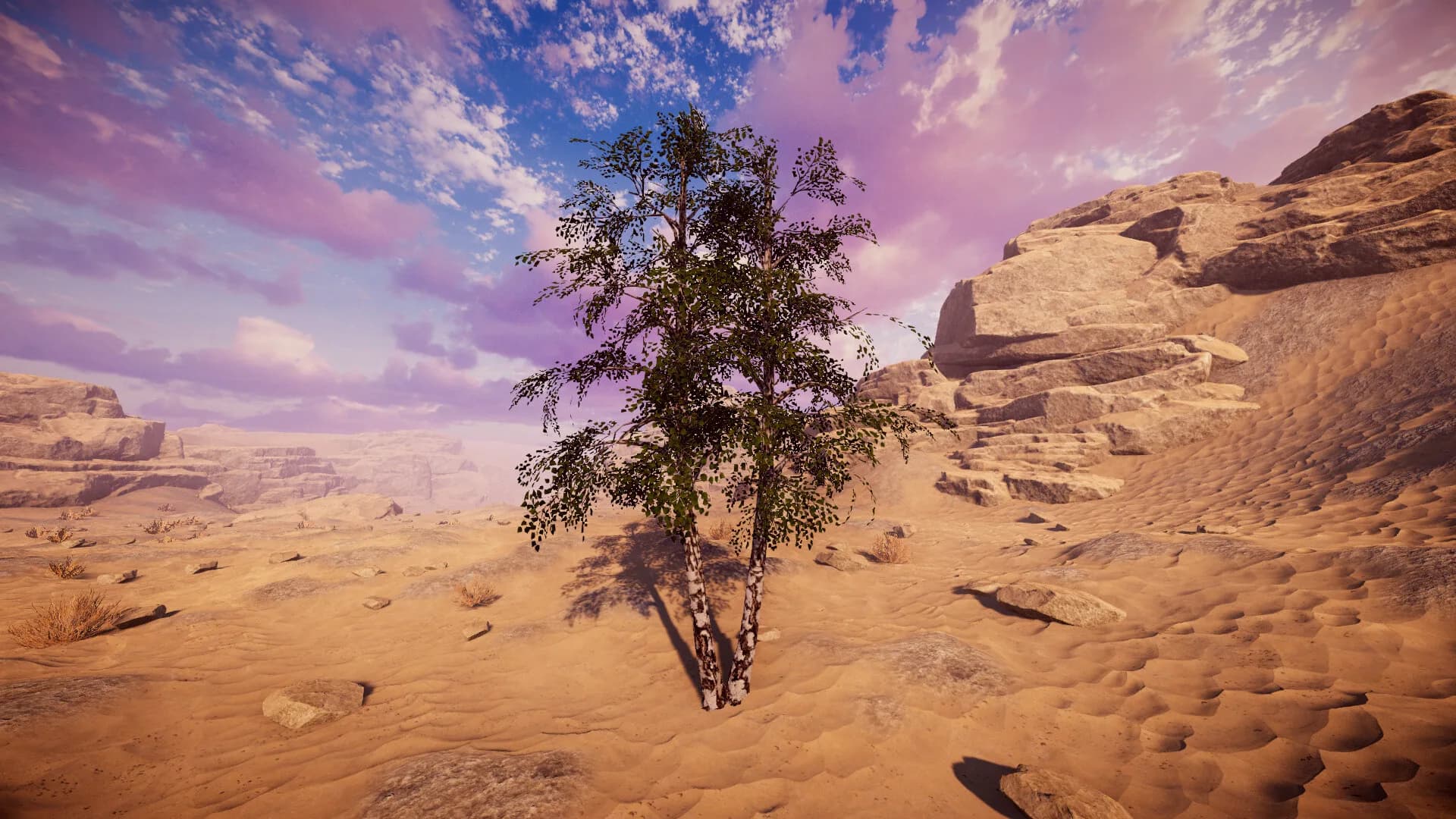 Birch Simulator görsel 16