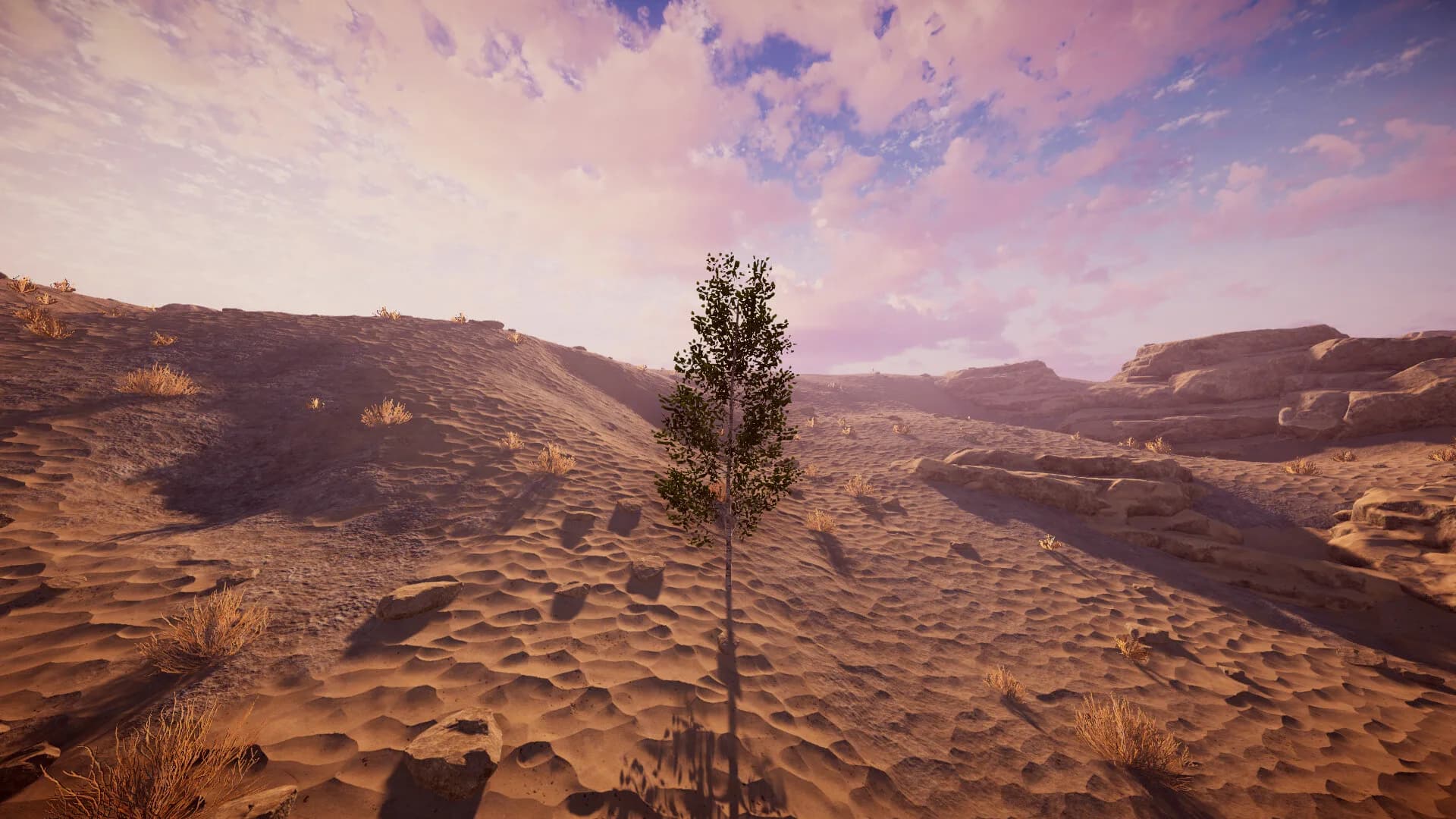 Birch Simulator görsel 17