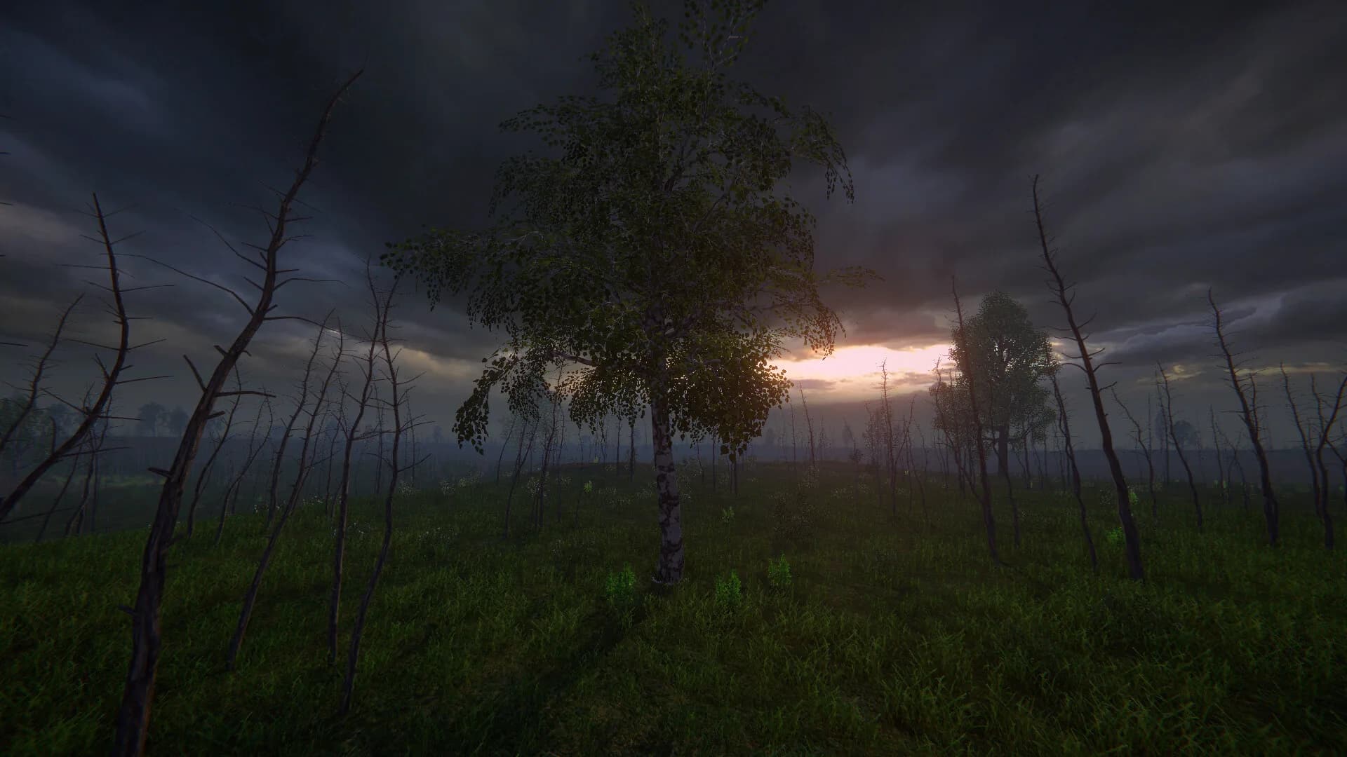 Birch Simulator görsel 18