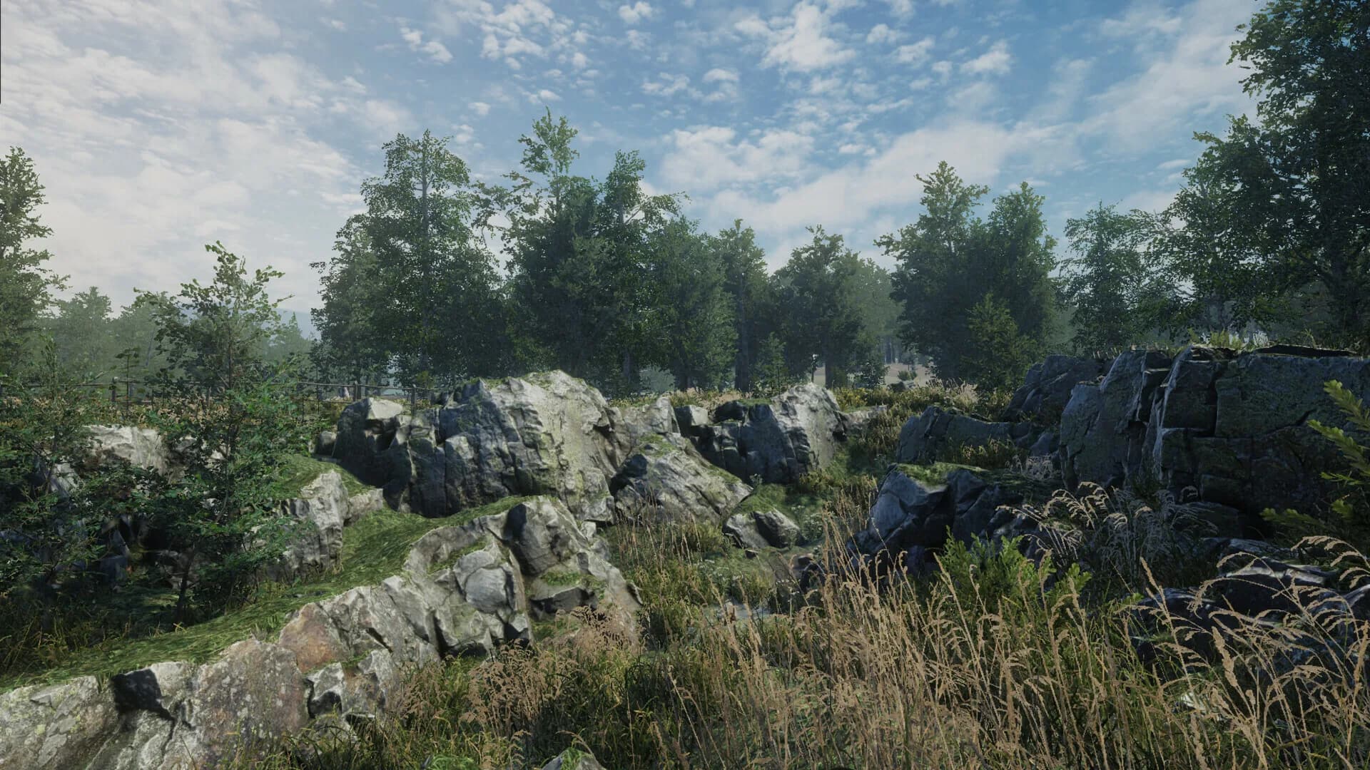 Birch Simulator görsel 21