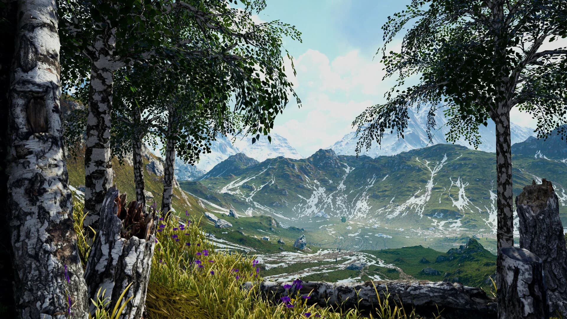 Birch Simulator görsel 22