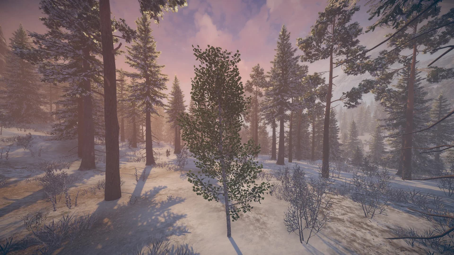 Birch Simulator görsel 5