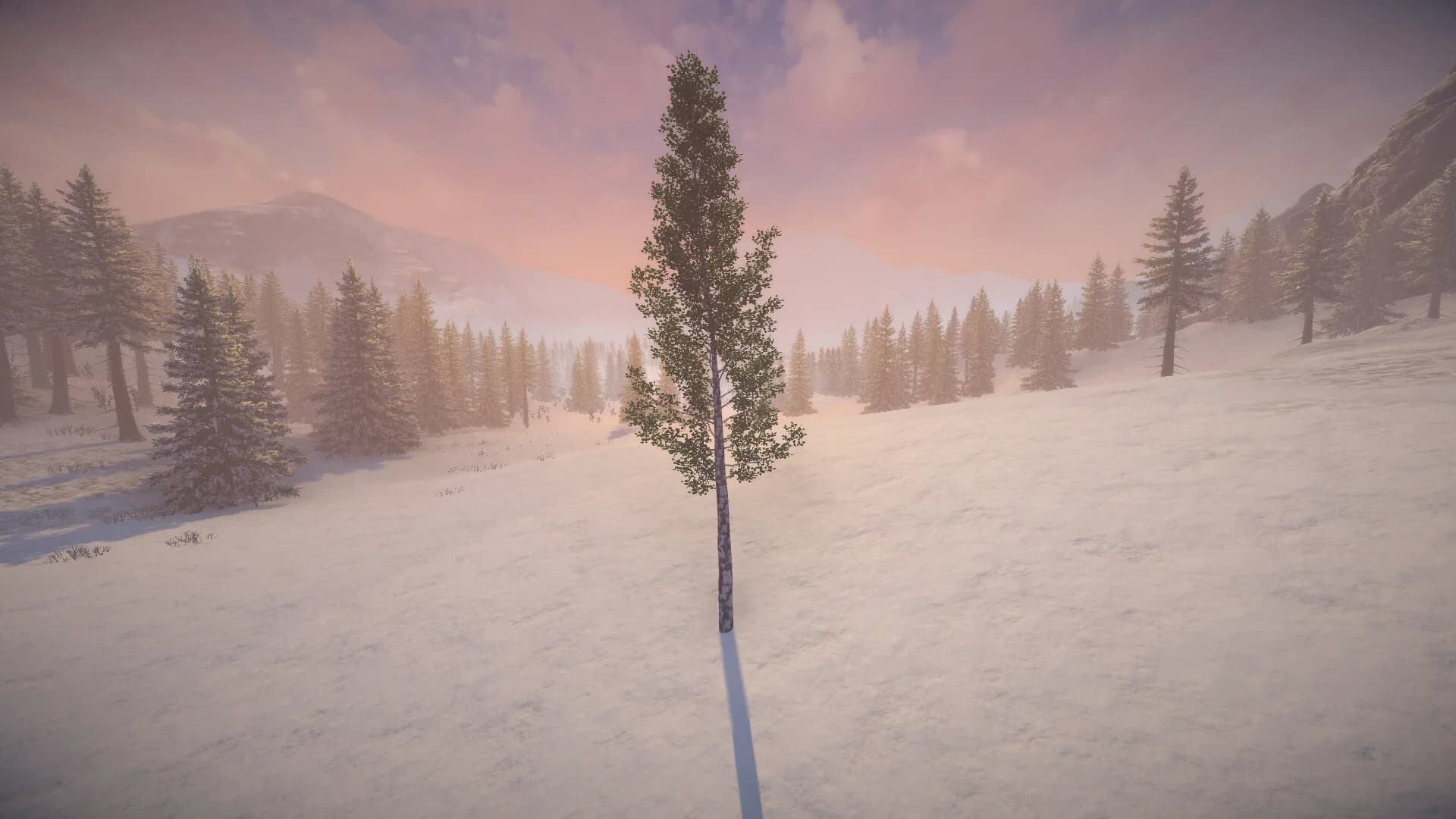 Birch Simulator görsel 6