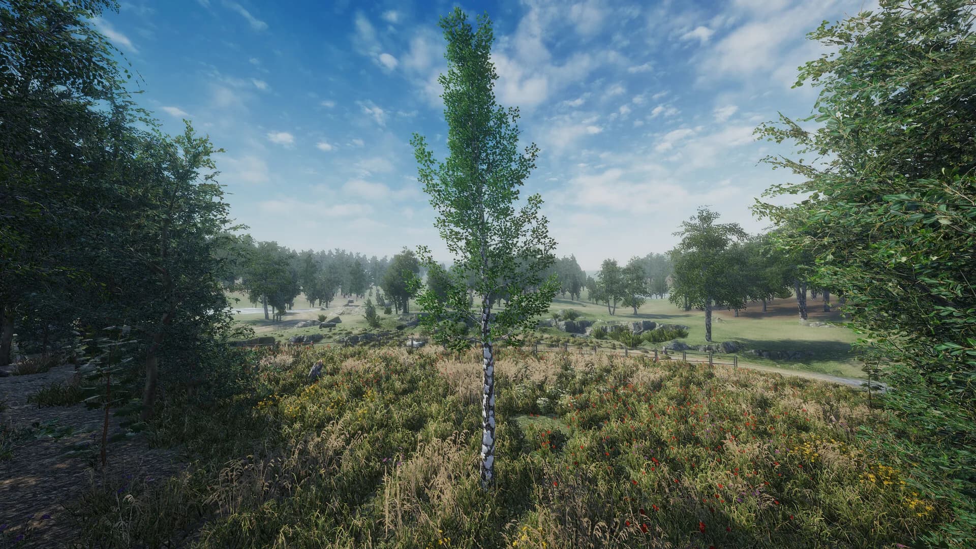 Birch Simulator görsel 8