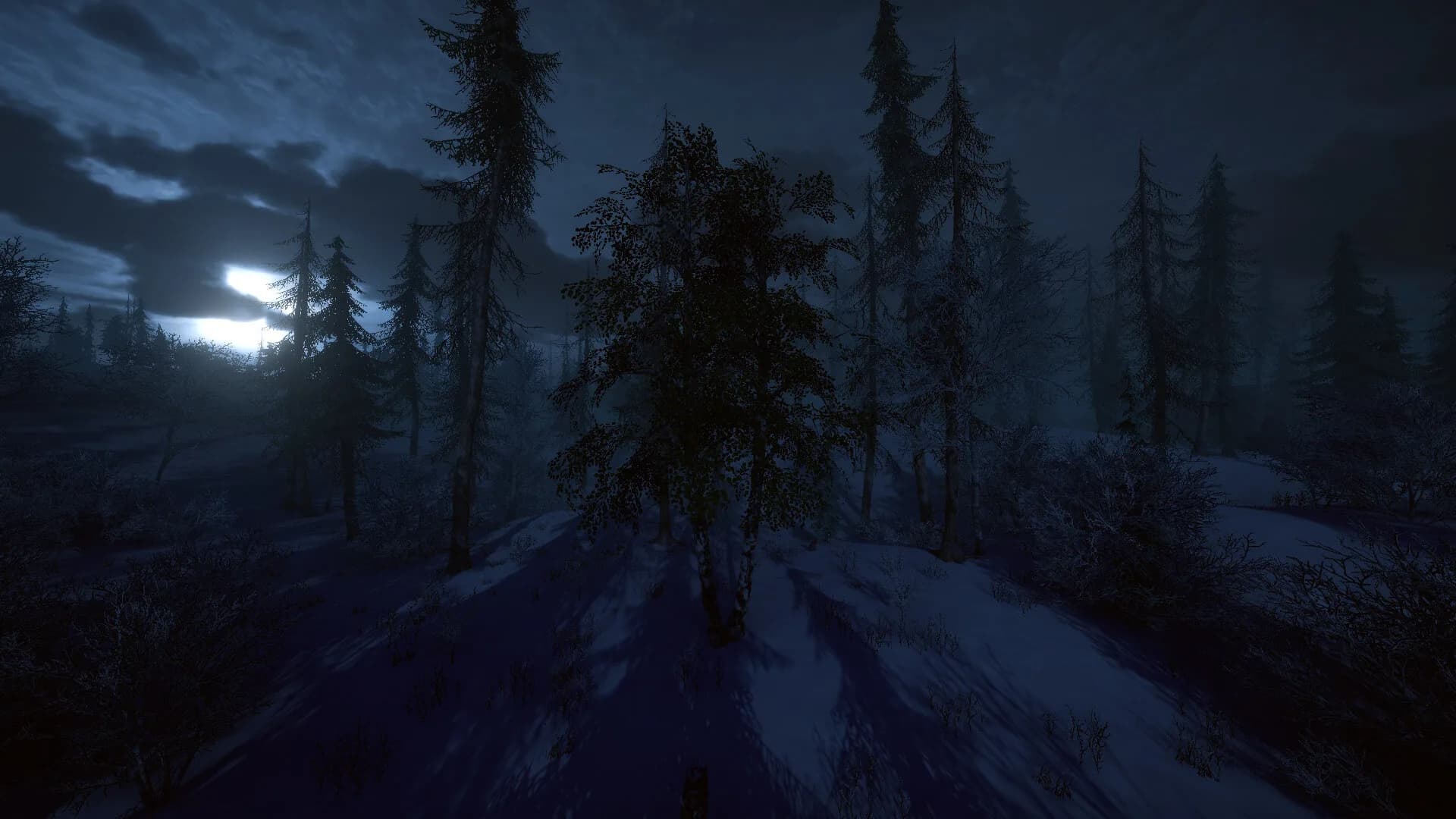 Birch Simulator görsel 10
