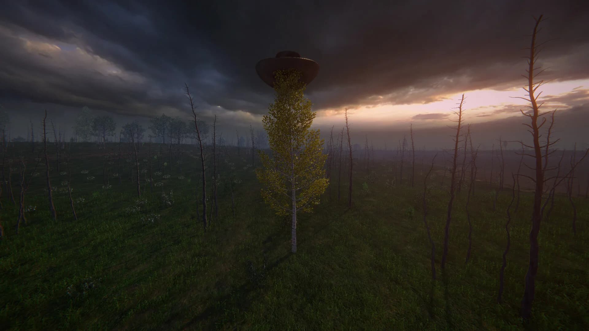 Birch Simulator görsel 11