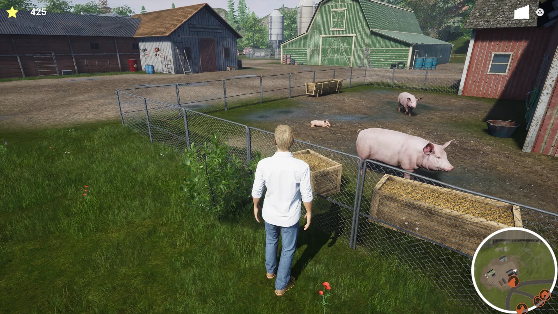 My Life: Farm Vet görsel 2