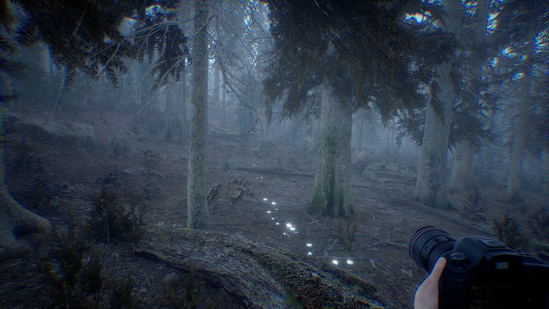 Photography Simulator Wildlife Prologue görsel 2