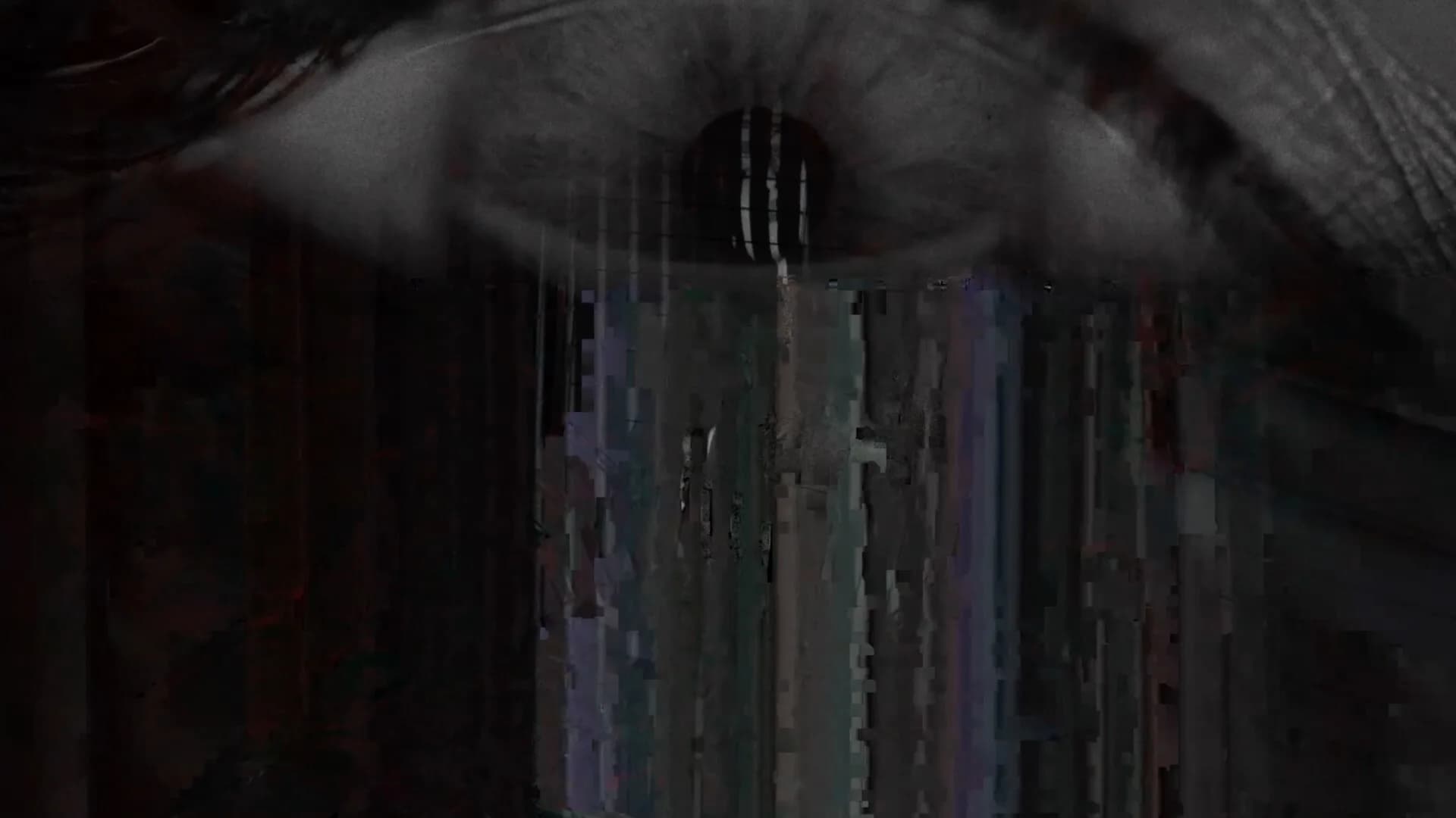 Project D████ görsel 3