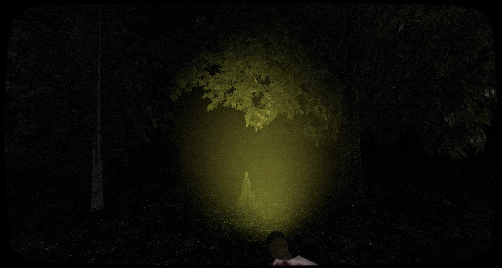 Veiled Whispers görsel 2