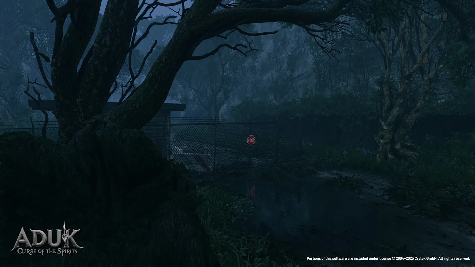 ADUK: Curse of the Spirits görsel 5