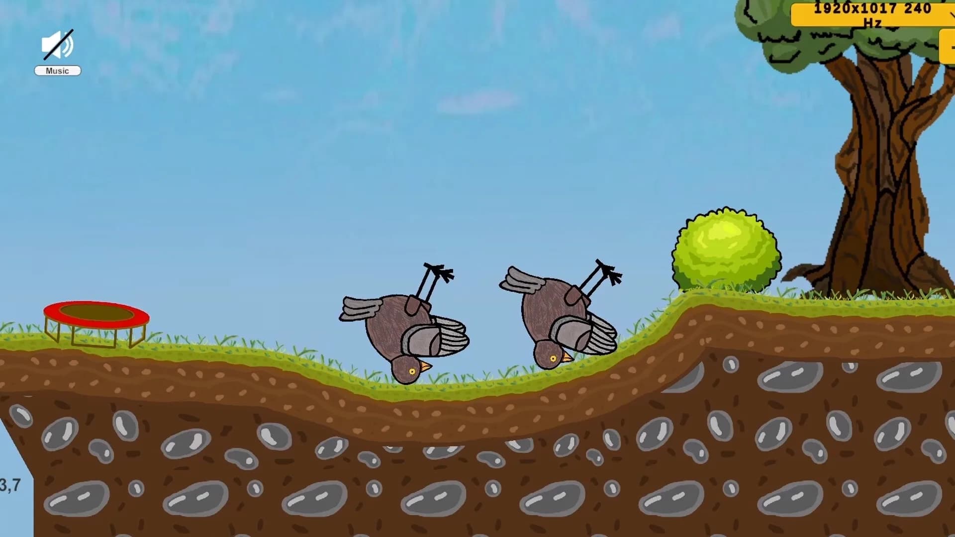 Happy Bird Day görsel 6