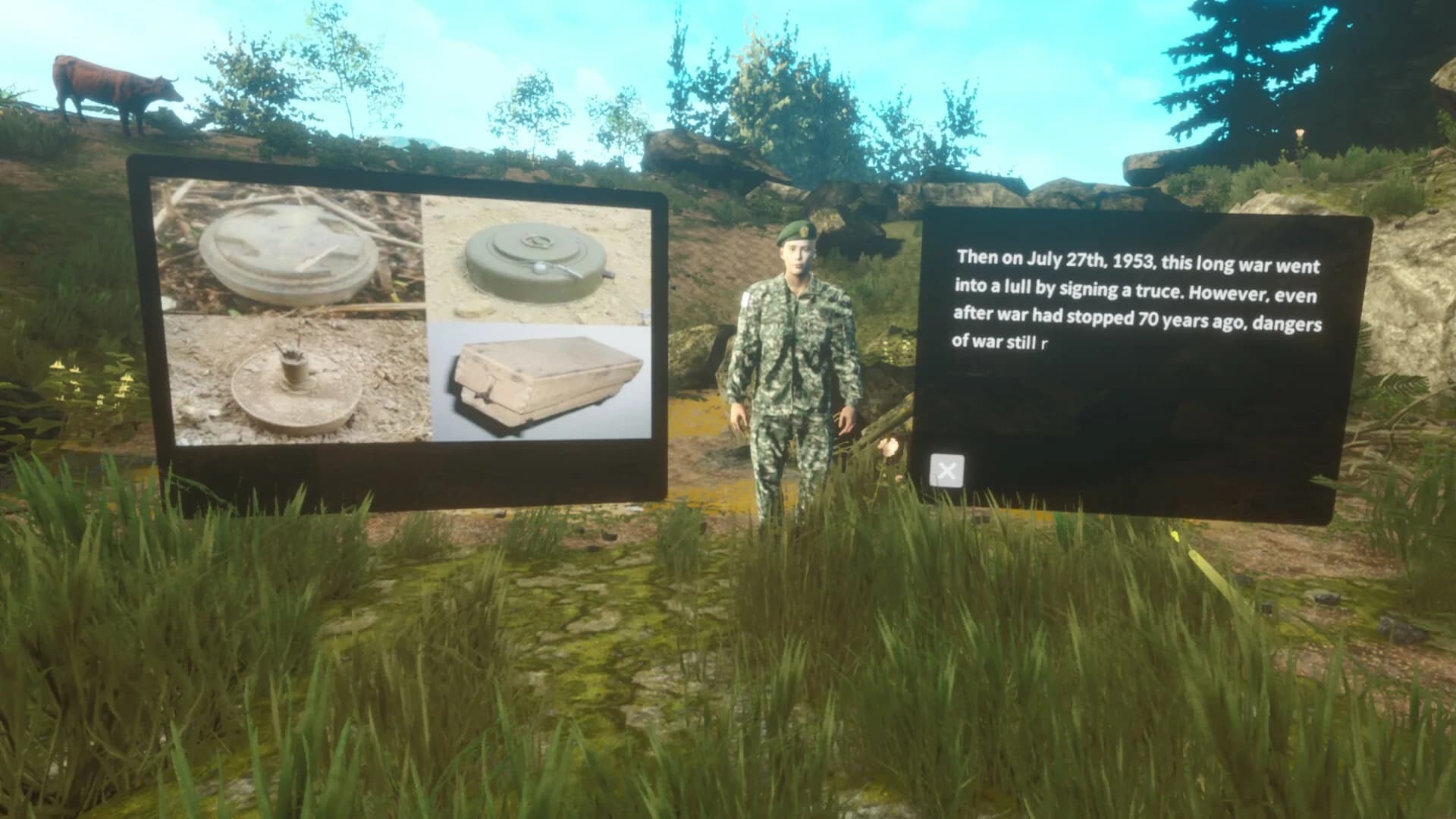 DMZ görsel 3
