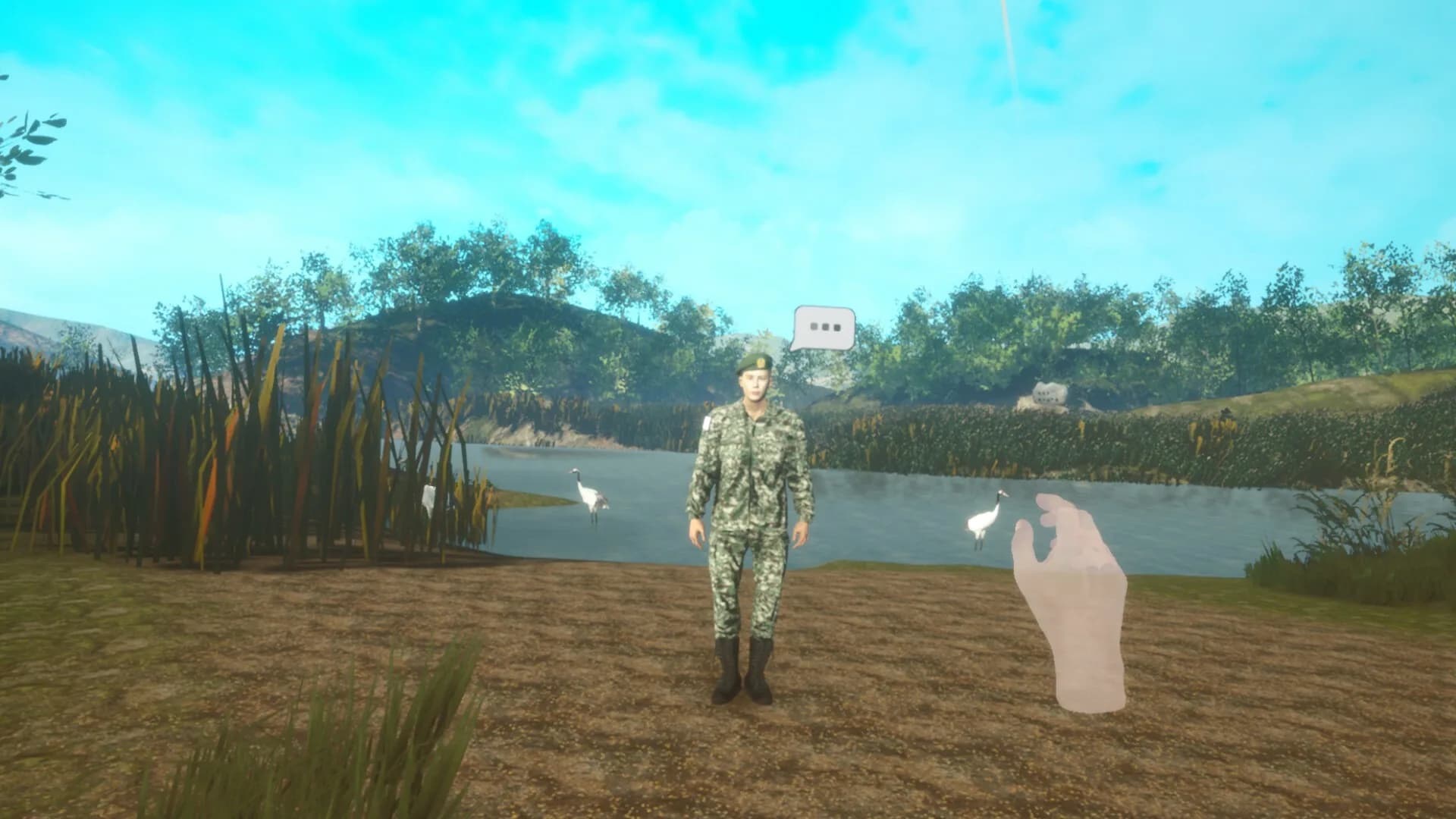 DMZ görsel 7