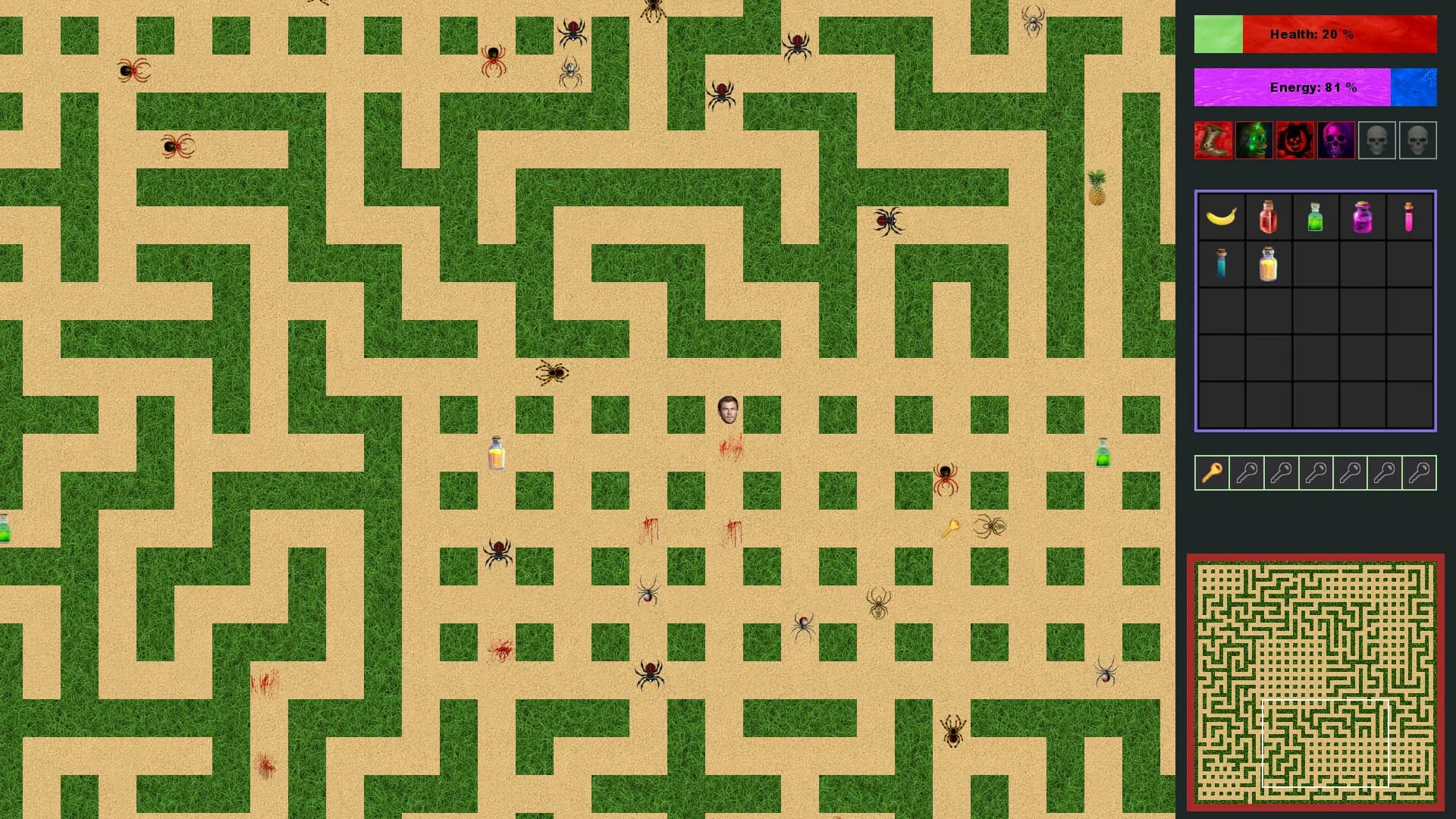 Australian maze görsel 5