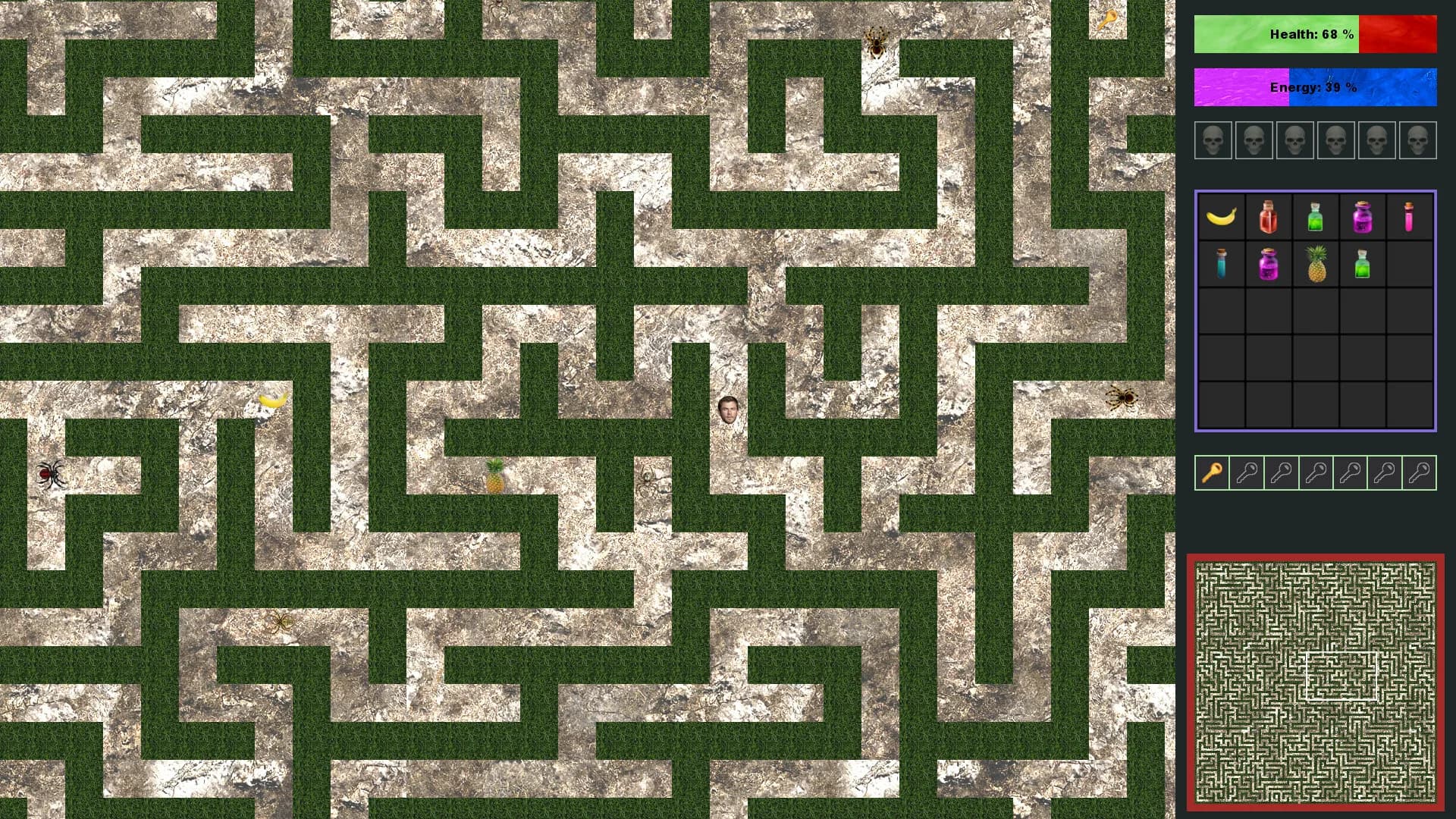 Australian maze görsel 6
