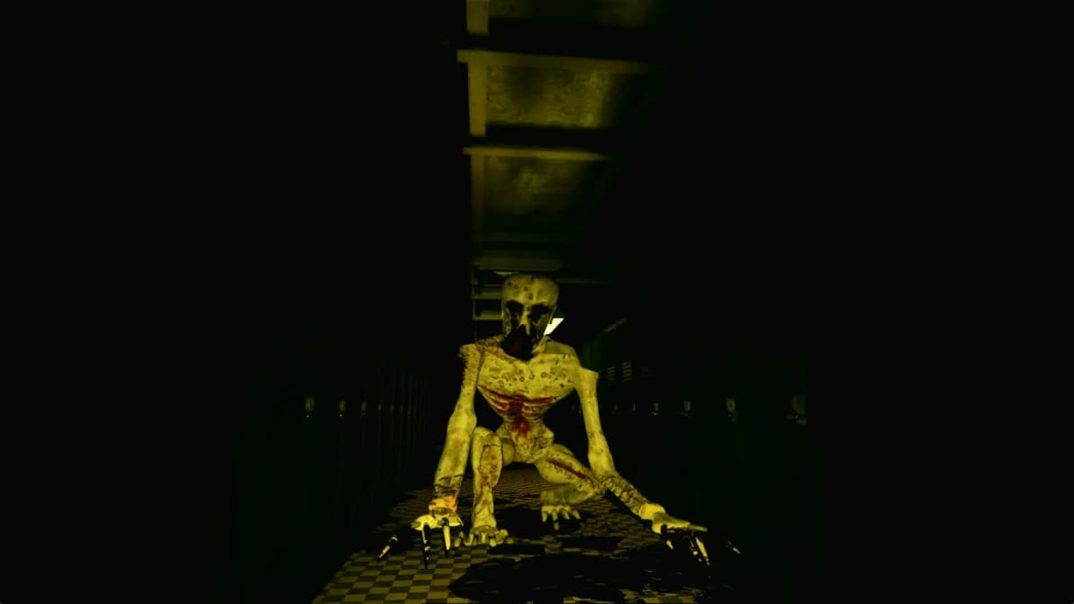 Paranox görsel 2