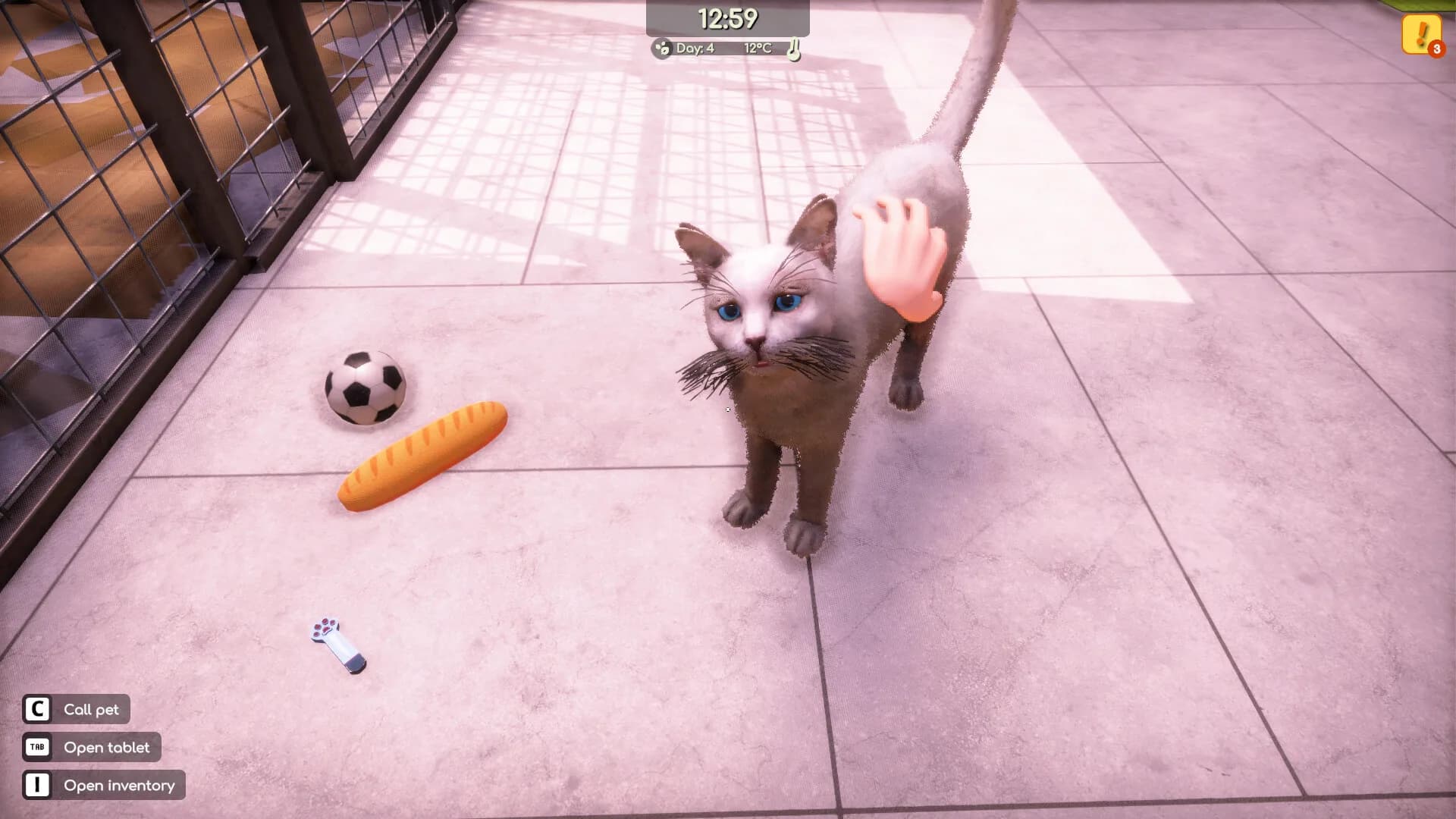 Animal Shelter 2 görsel 3
