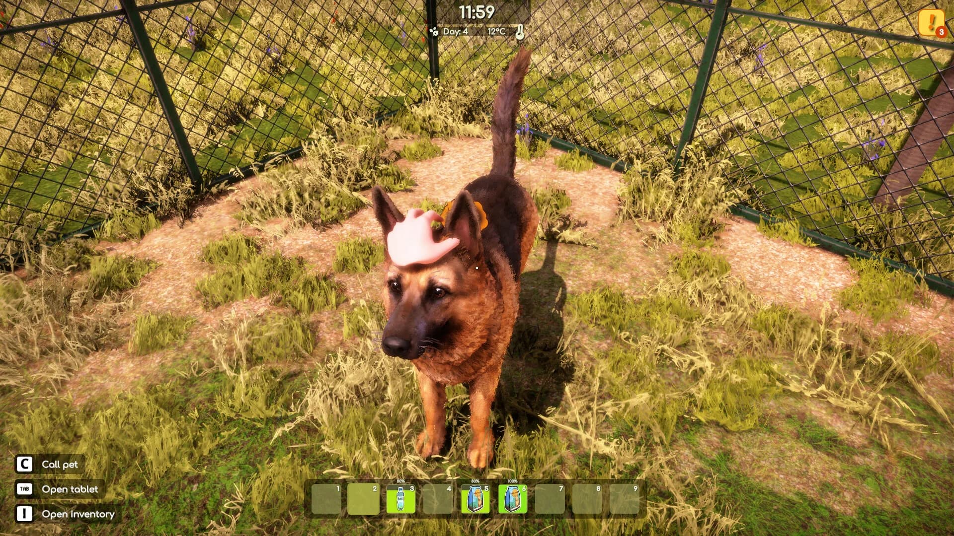 Animal Shelter 2 görsel 16