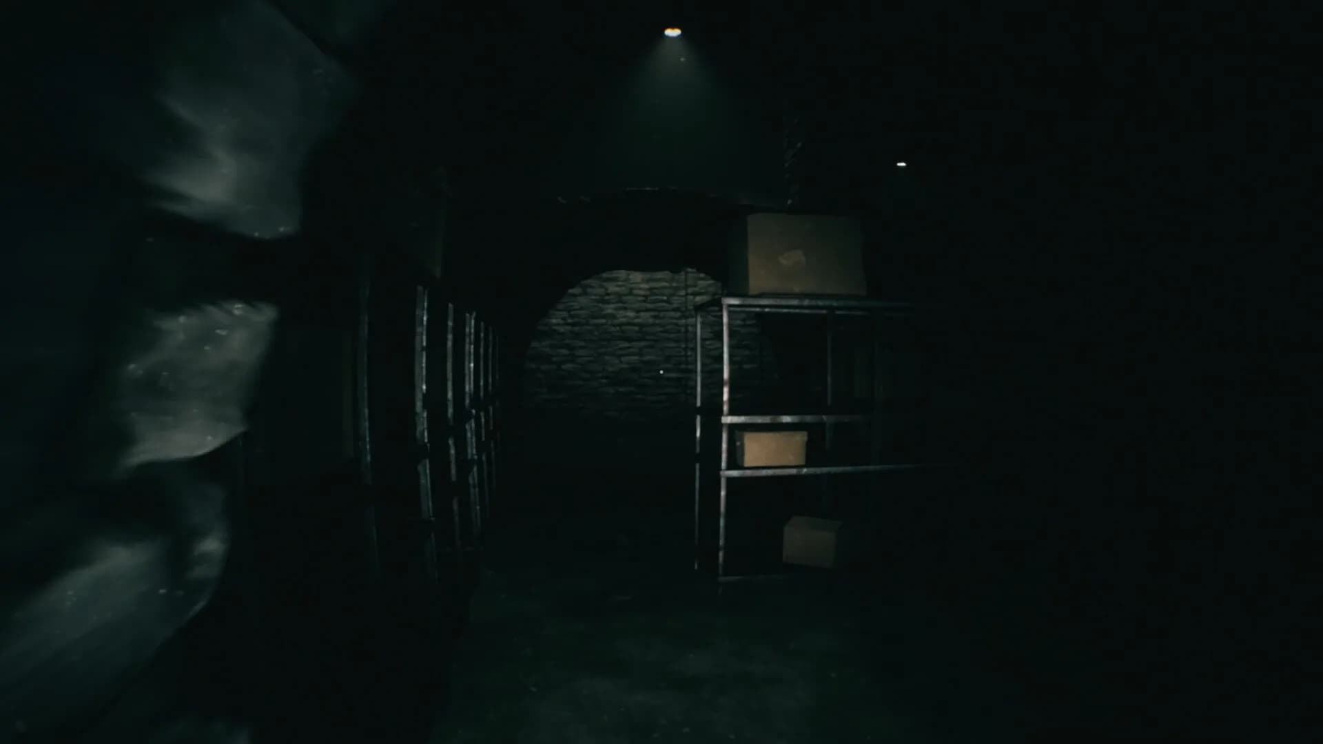 FORSISTED : The Sacred Souls görsel 2