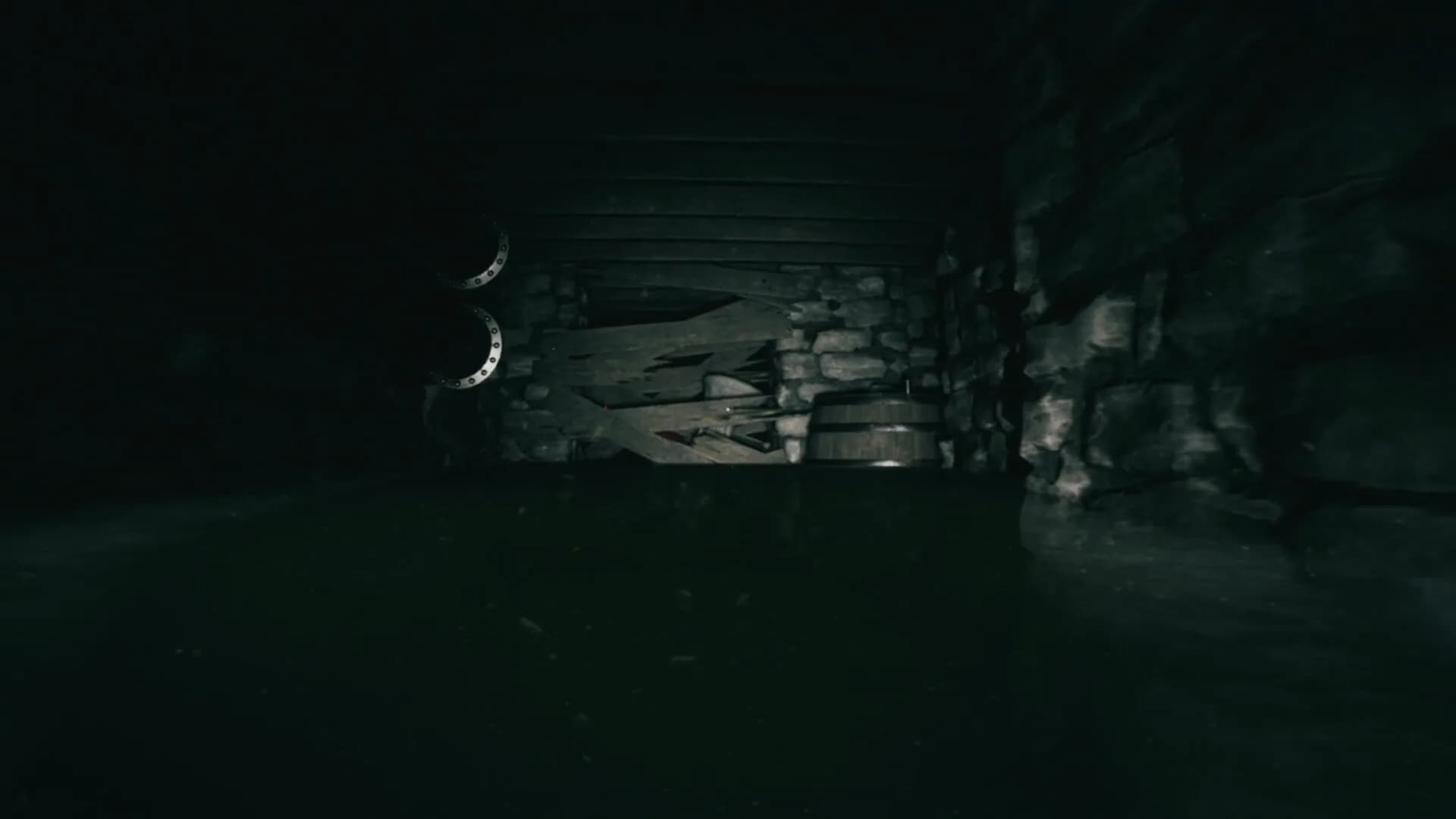 FORSISTED : The Sacred Souls görsel 6