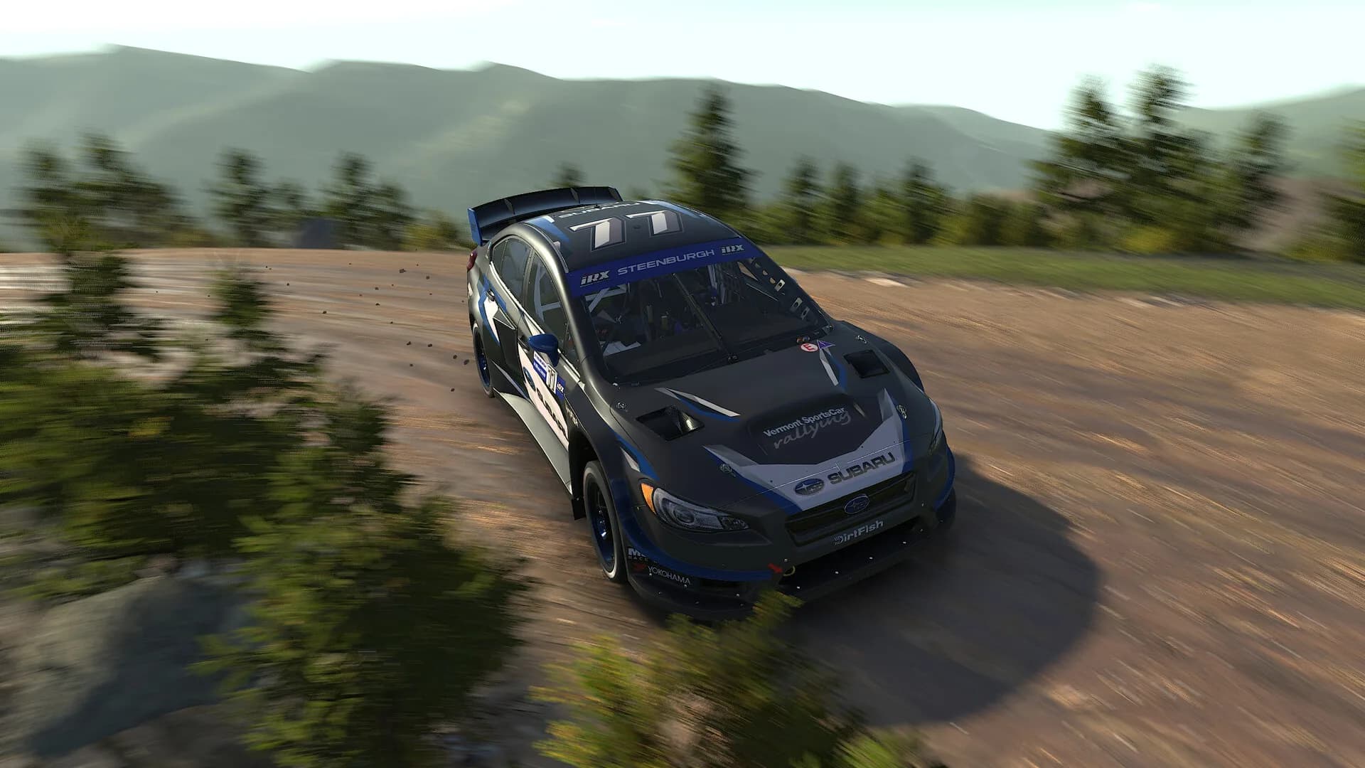 iRacing görsel 20