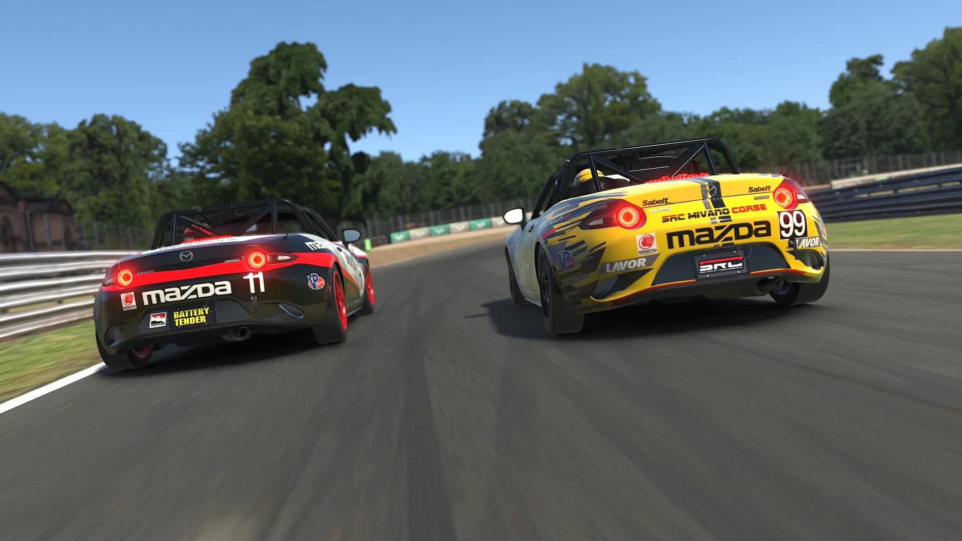 iRacing görsel 11