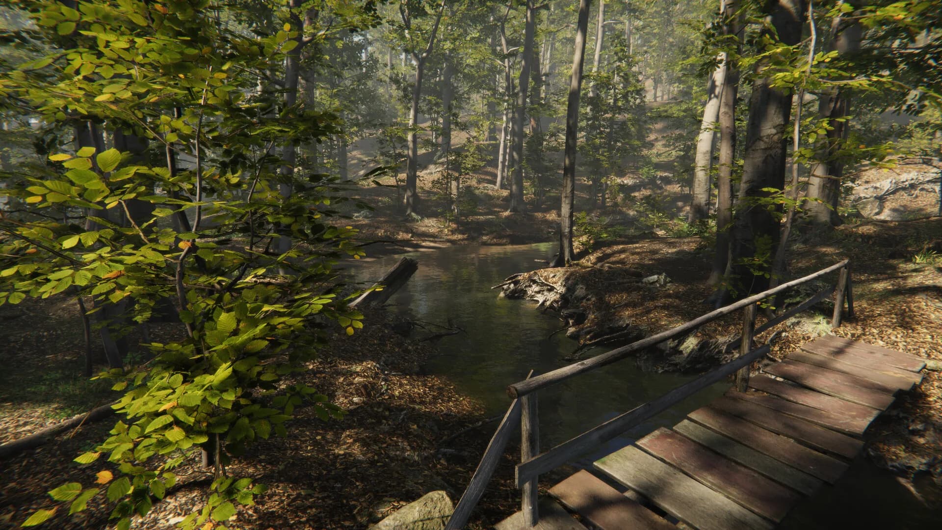 Camping Vlog Simulator 2024 görsel 8