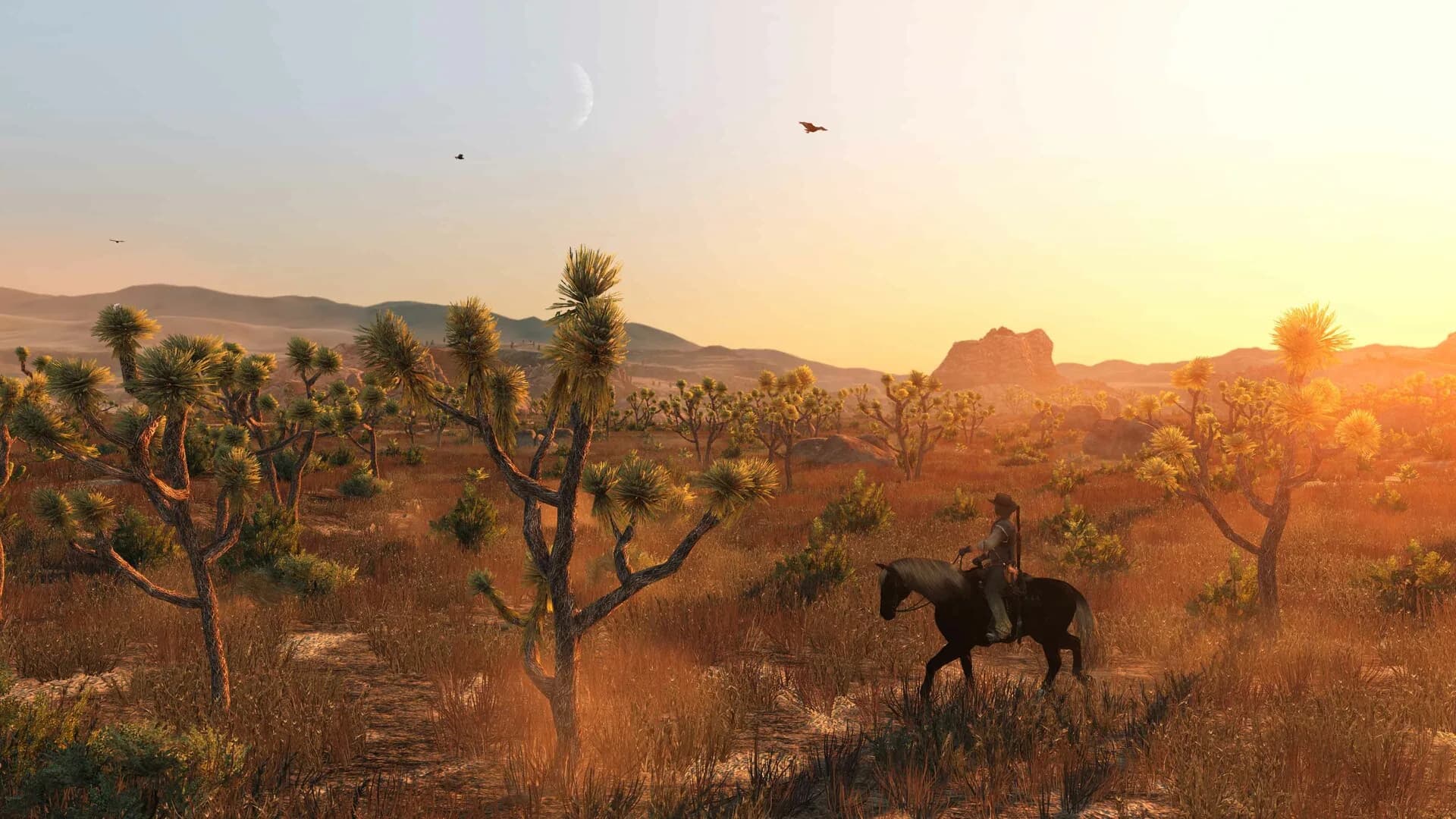 Red Dead Redemption görsel 5