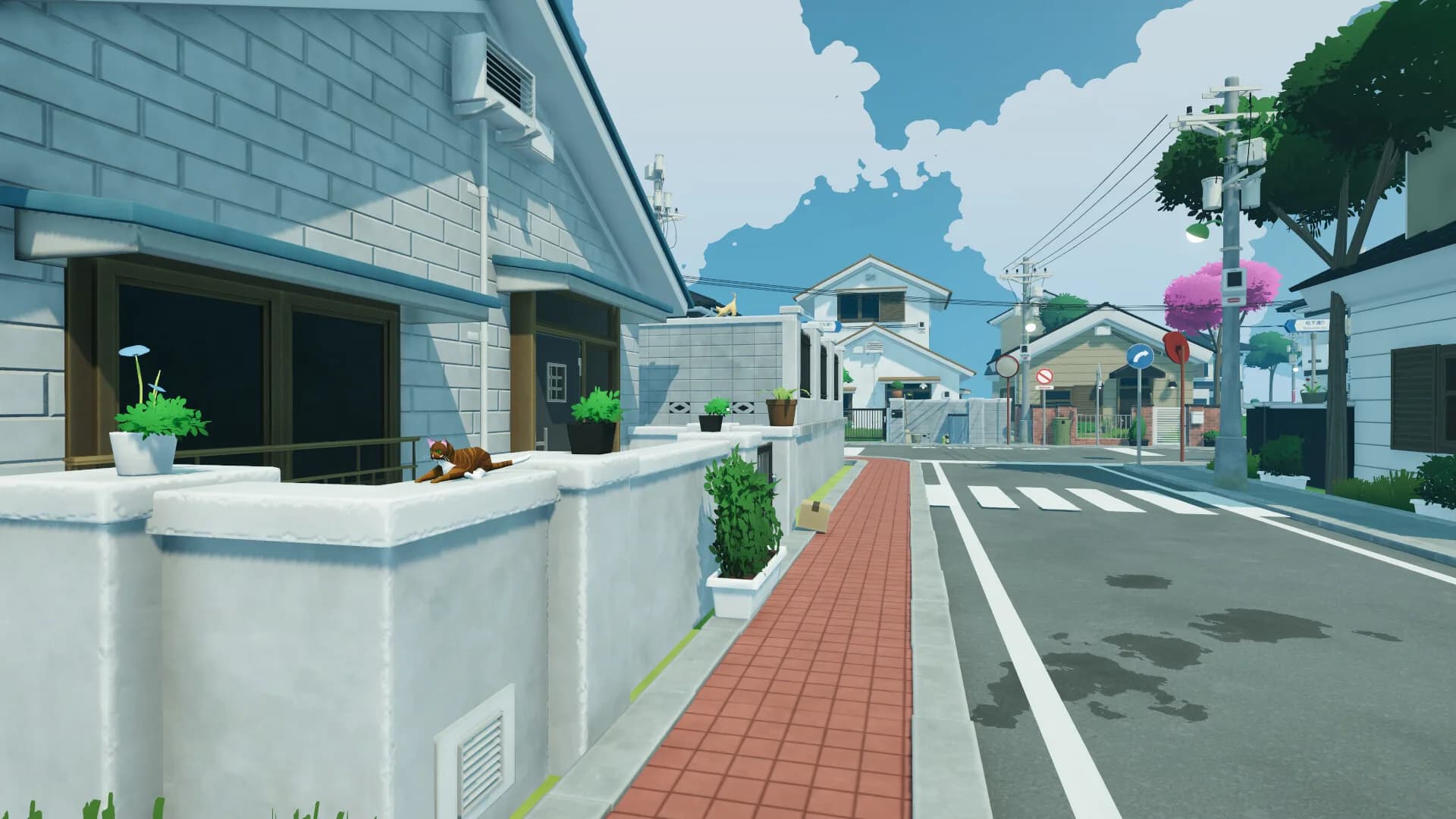Idyllic cats: Japan görsel 2