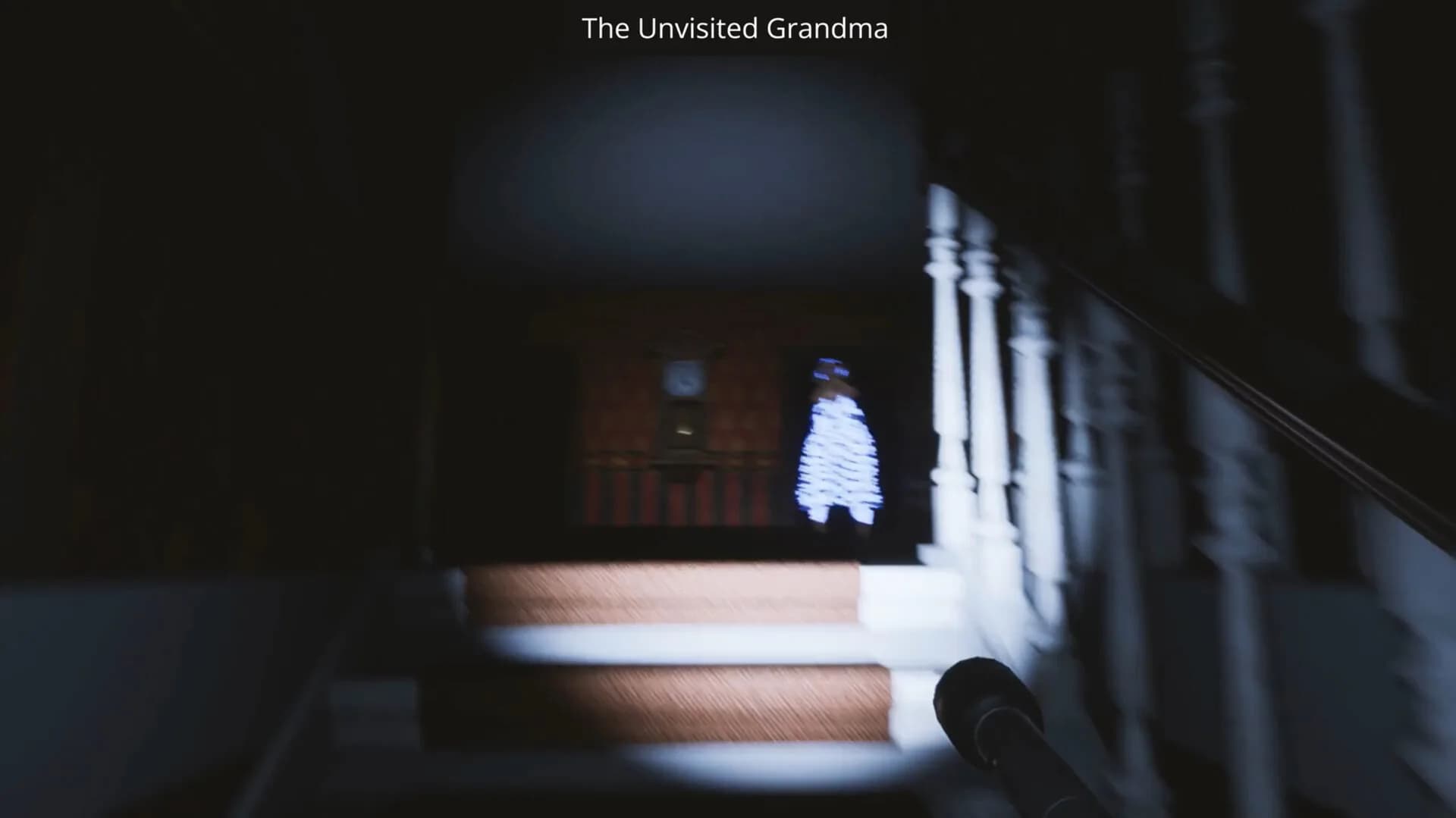 The Unvisited Grandma görsel 2
