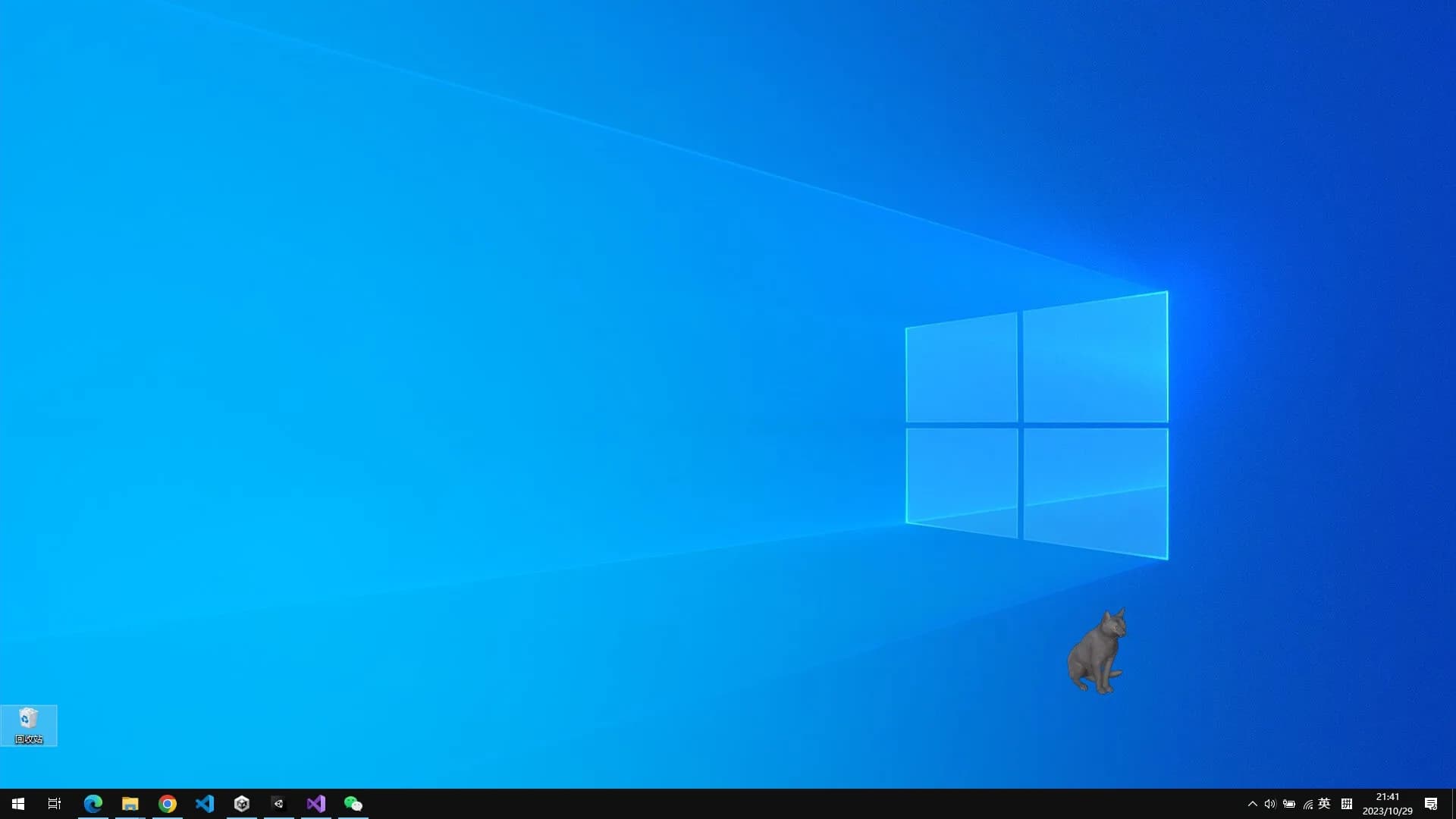 Cat On The Desktop görsel 4