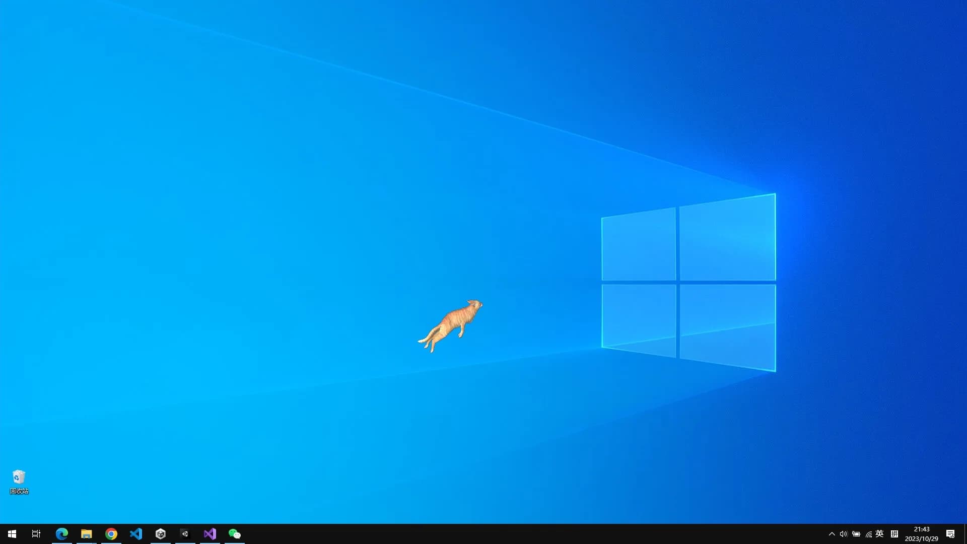 Cat On The Desktop görsel 5