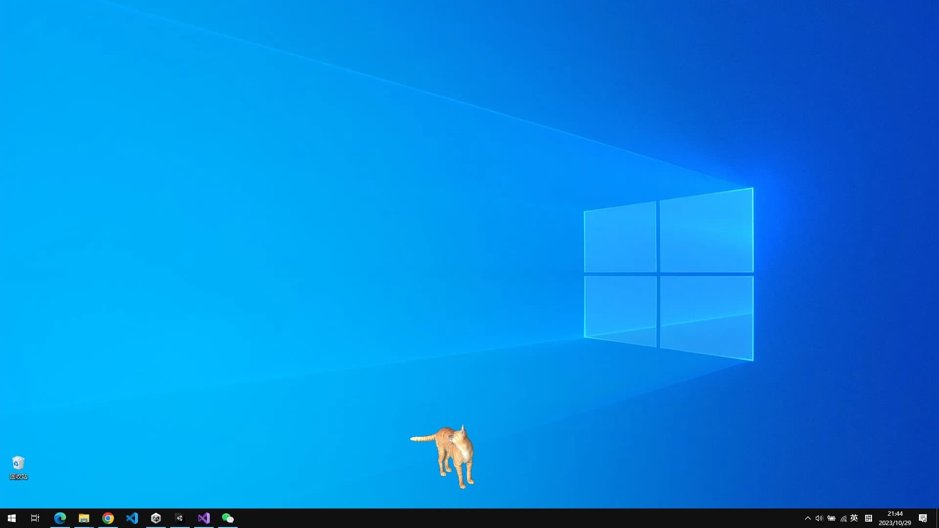 Cat On The Desktop görsel 6