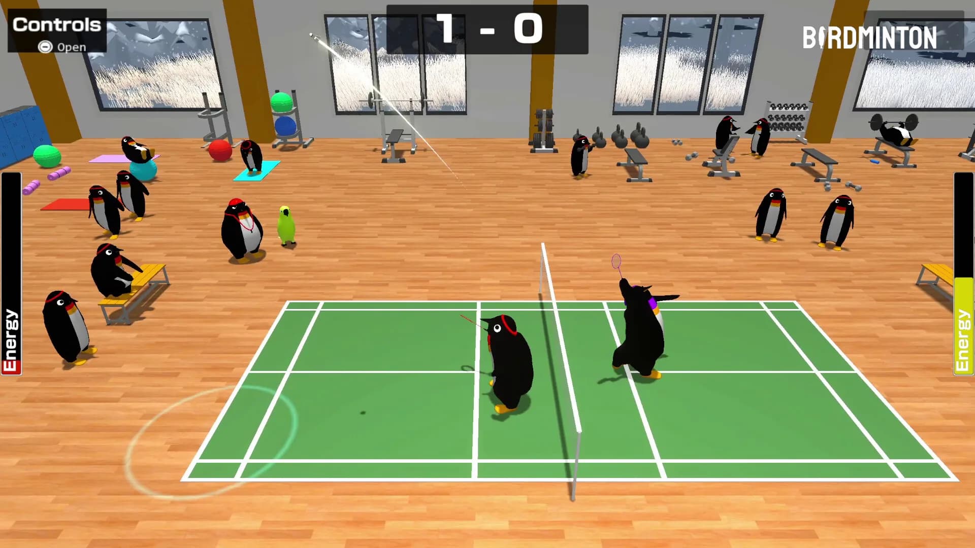 Birdminton görsel 8
