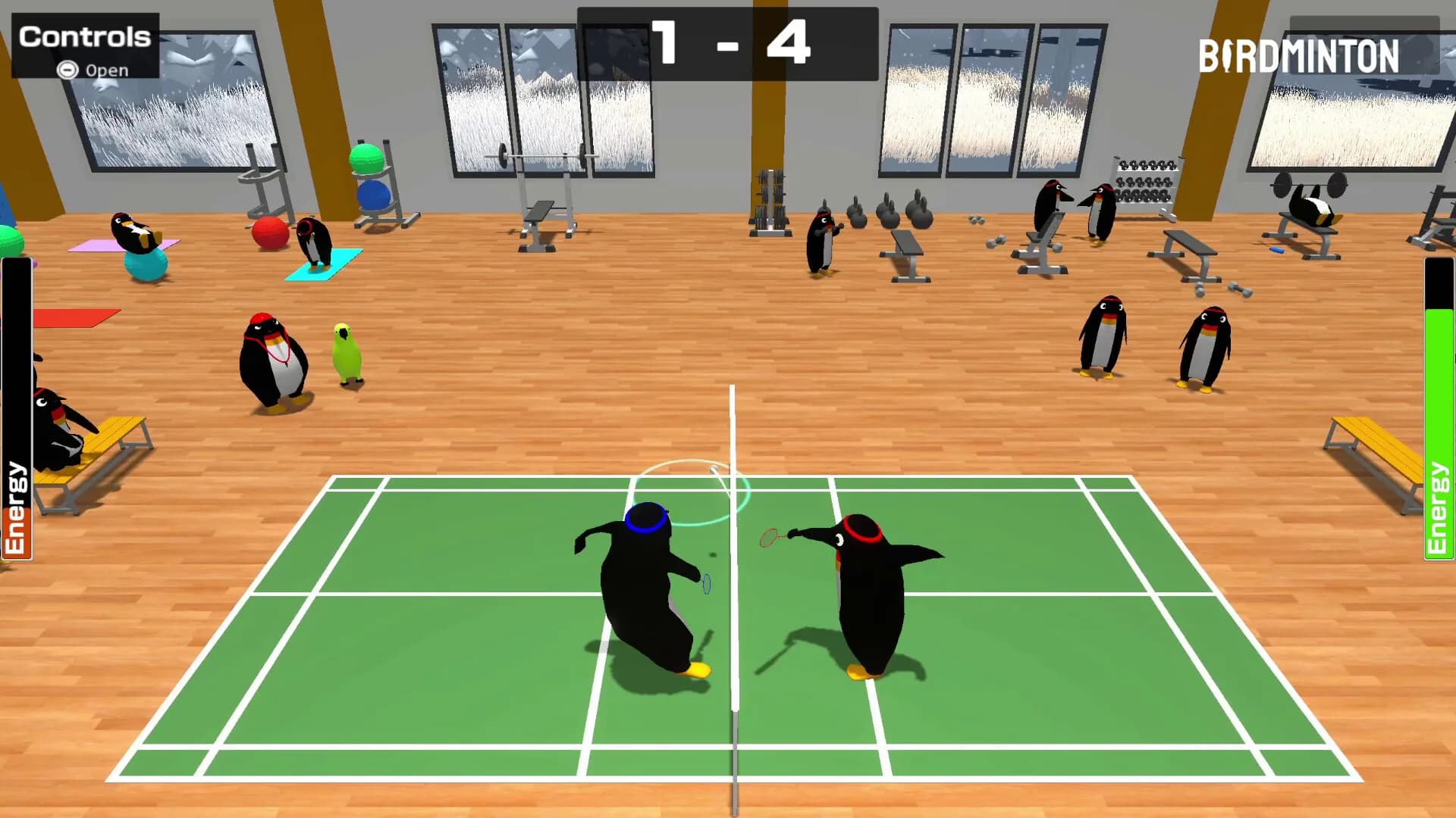 Birdminton görsel 9