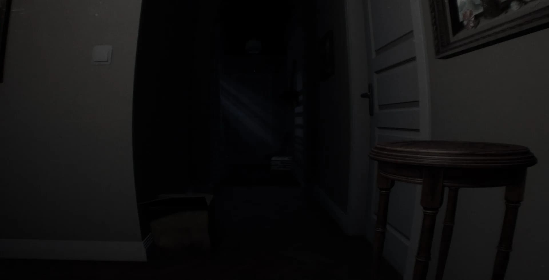 Chaperone görsel 8