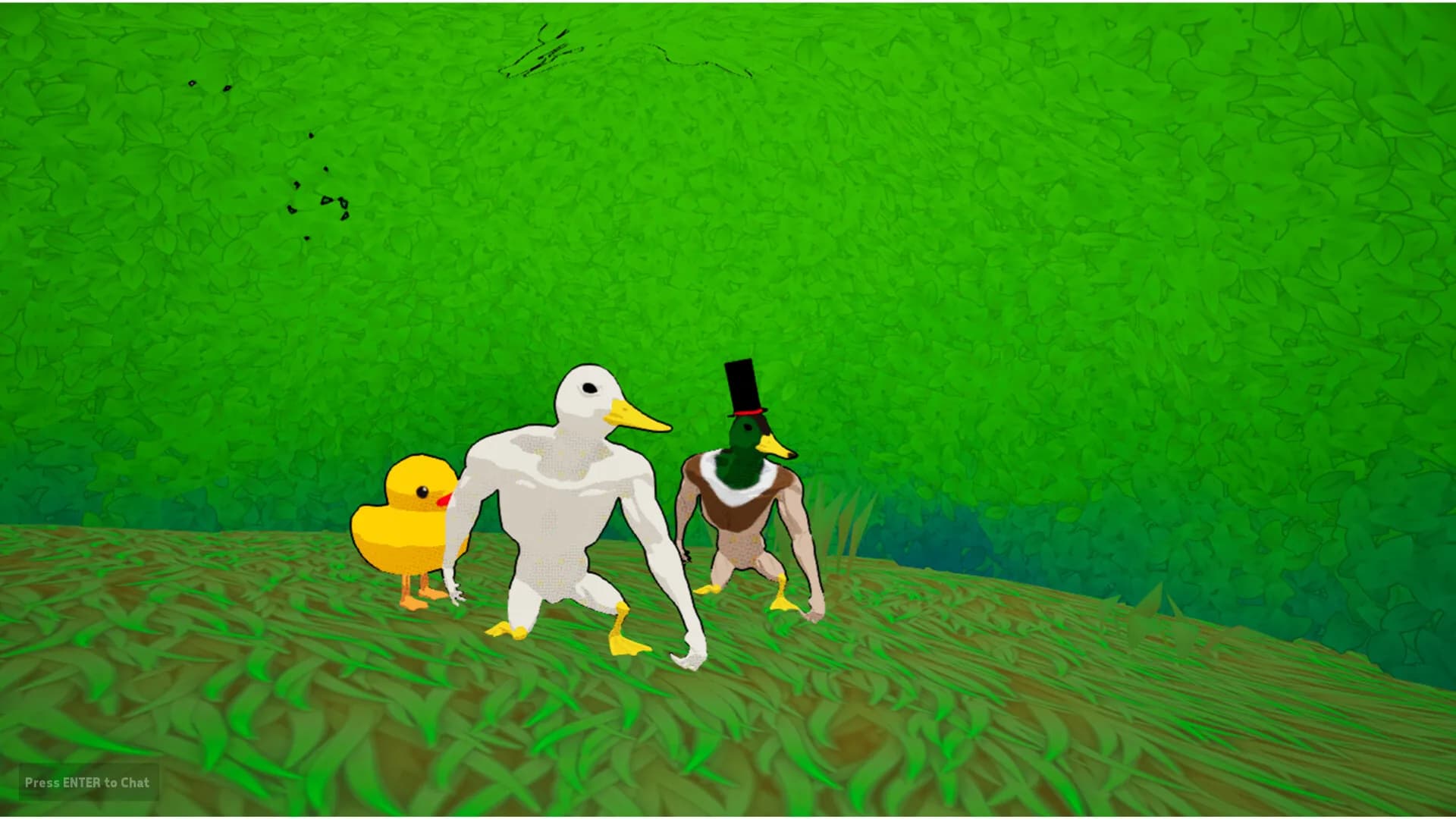 DUCK DUCK görsel 10