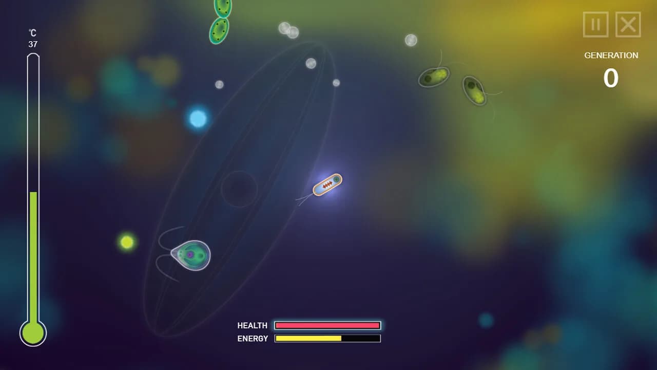 Symbio görsel 2