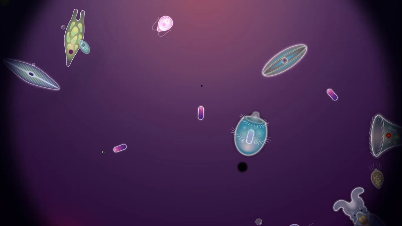 Symbio görsel 6