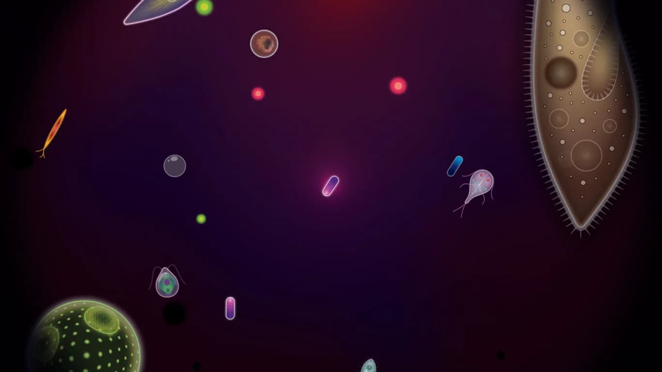 Symbio görsel 7