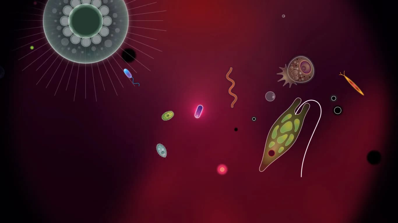 Symbio görsel 8