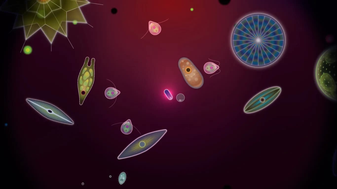 Symbio görsel 9