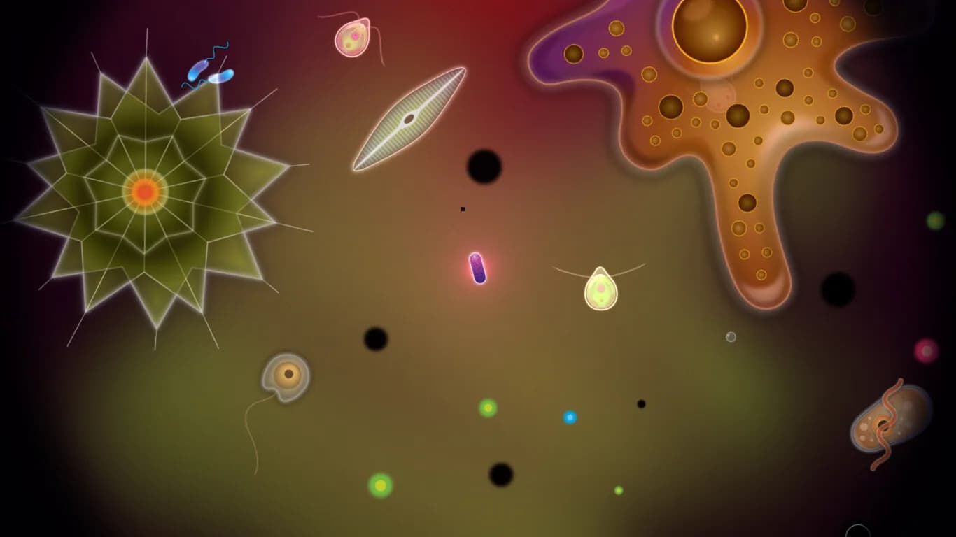 Symbio görsel 10
