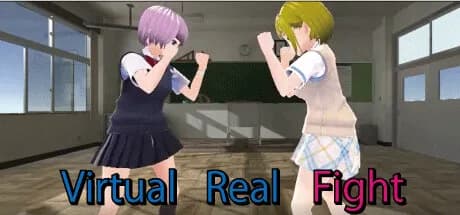 Virtual Real Fight görsel 1